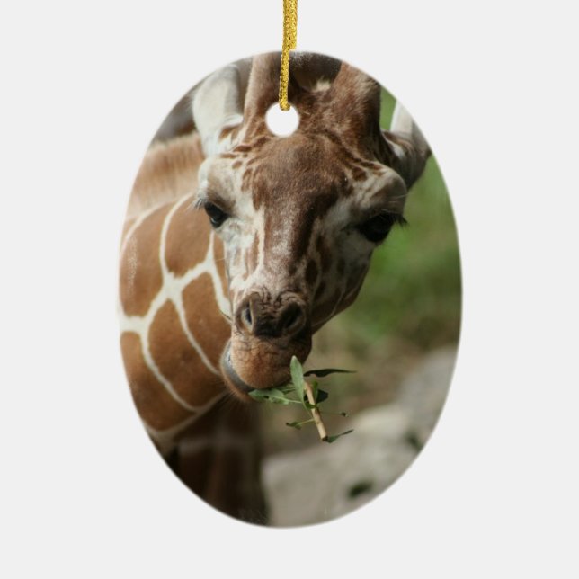 Ornement de casse-croûte de girafe (Devant)