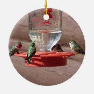 Ornement de cercle de colibris
