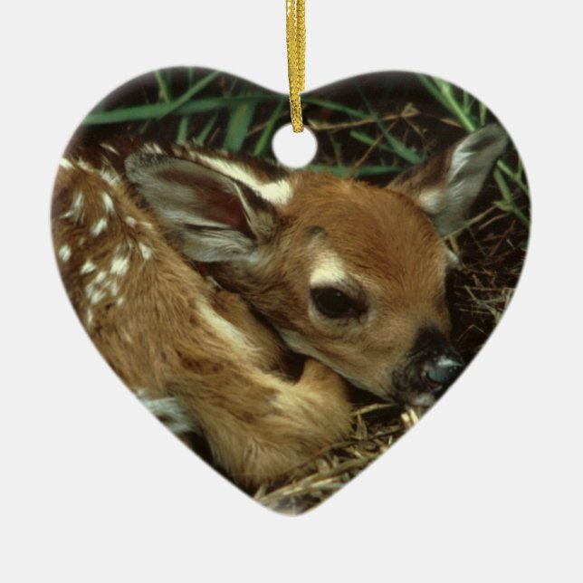 Ornement de cerfs communs de bébé (Devant)