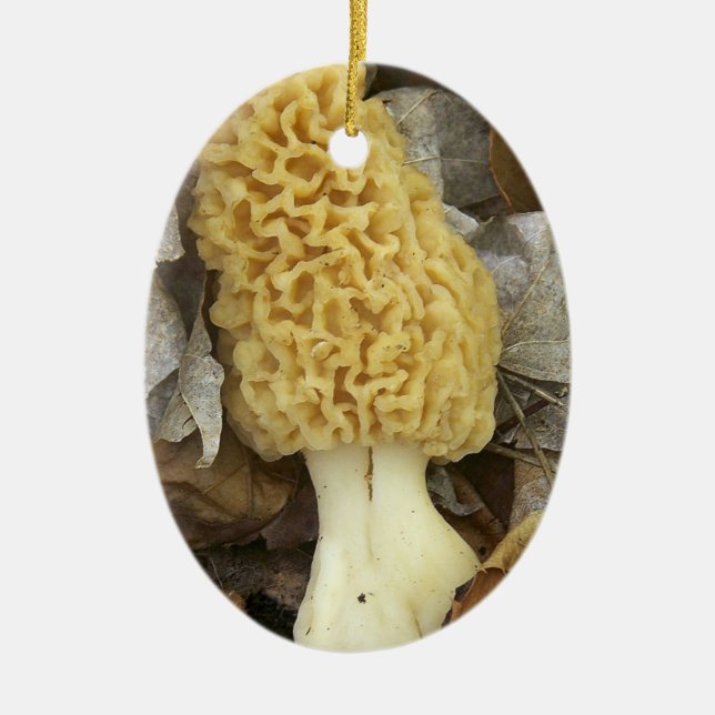 Ornement de champignon de morelle (Devant)