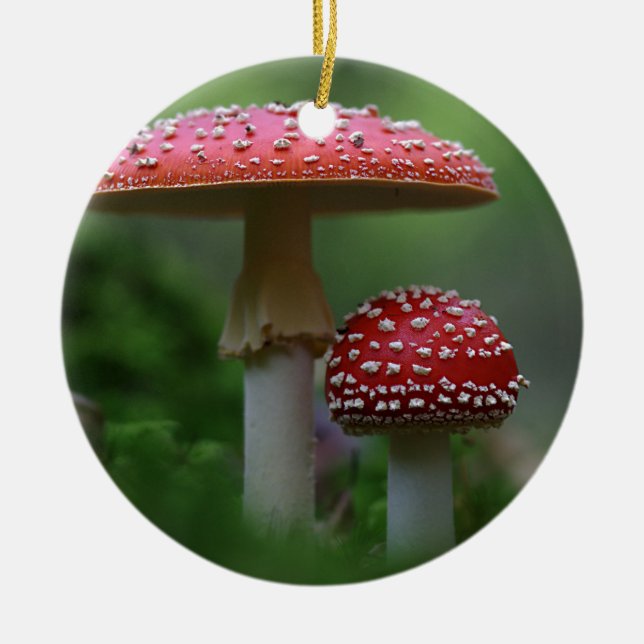 Ornement de champignons magiques (Devant)