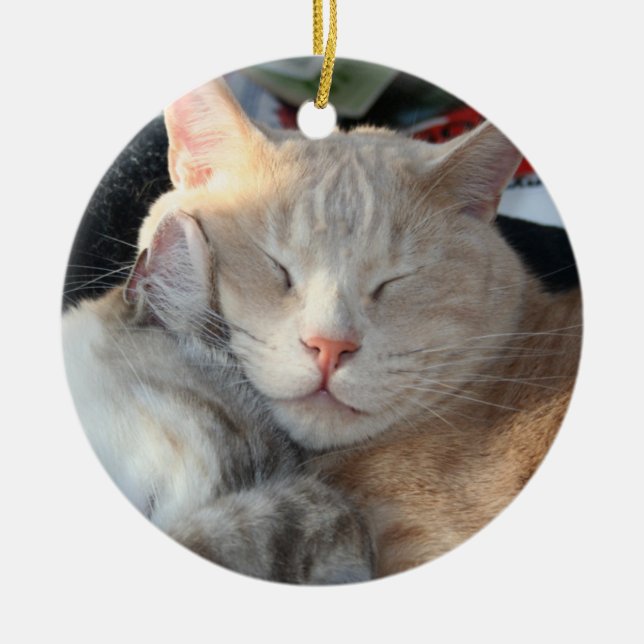 Ornement de chat (Devant)