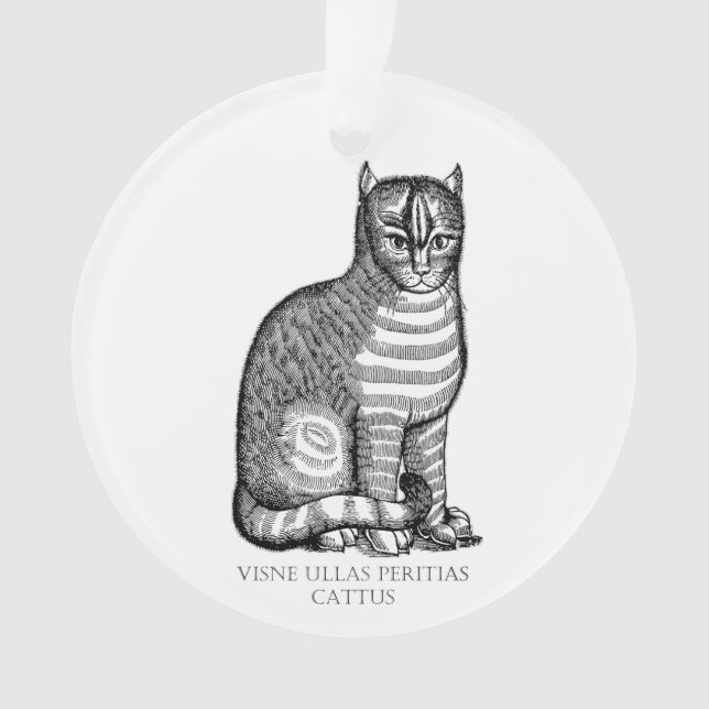 Ornement de chat antique (devant)