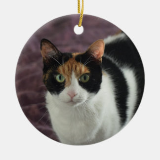 Ornement de chat de calicot