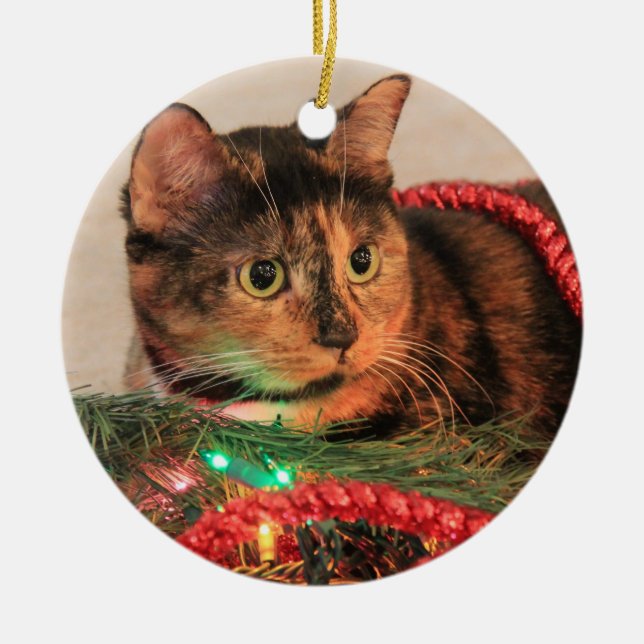 Ornement de chat de calicot de Noël (Devant)