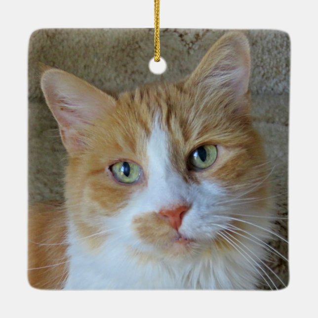 Ornement de chat de gingembre orange et blanc (Dos)