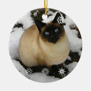 Ornement de chat de neige
