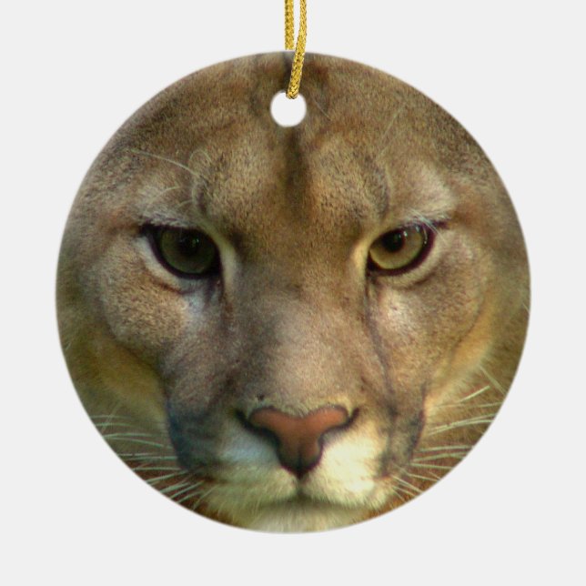 Ornement de chat de puma (Devant)