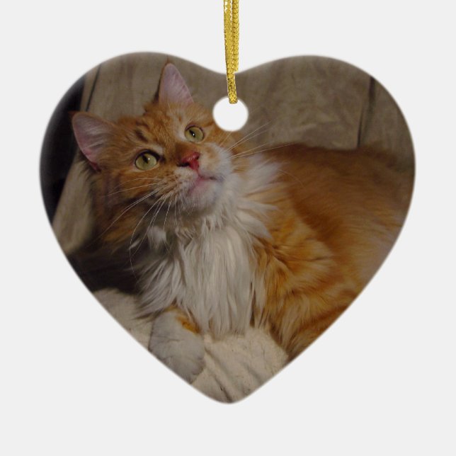 Ornement de chat de ragondin du Maine (Devant)