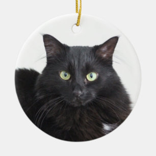Ornement de chat noir