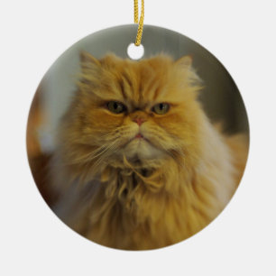 Ornement de chat persan