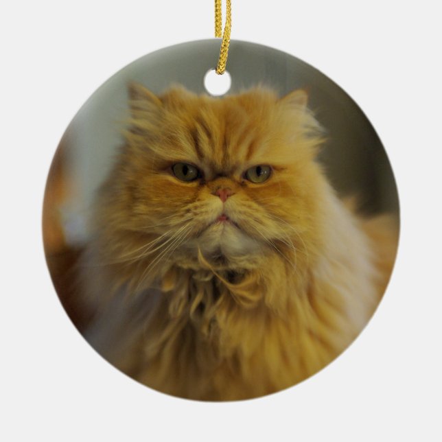 Ornement de chat persan (Devant)