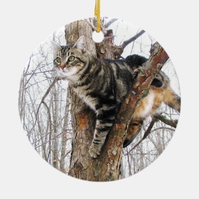 Ornement de chat Tabby (Dos)