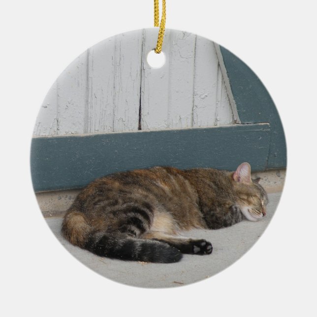 Ornement de chat tigré (Devant)