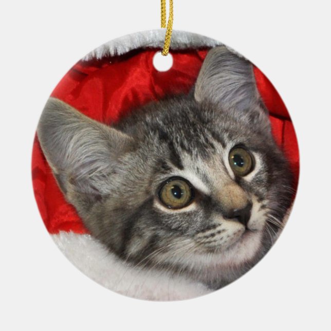 Ornement de chat tigré de gris argenté de (Devant)