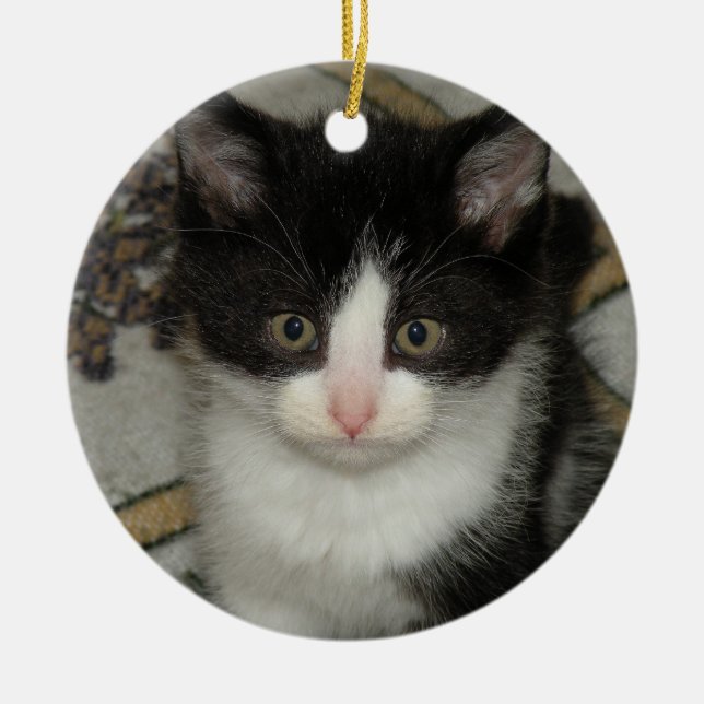 Ornement de chaton de Tuxedo (Devant)