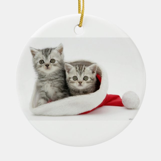 Ornement de chatons de Noël (Devant)