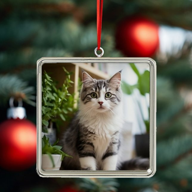 Ornement de chats doux (Créateur téléchargé)