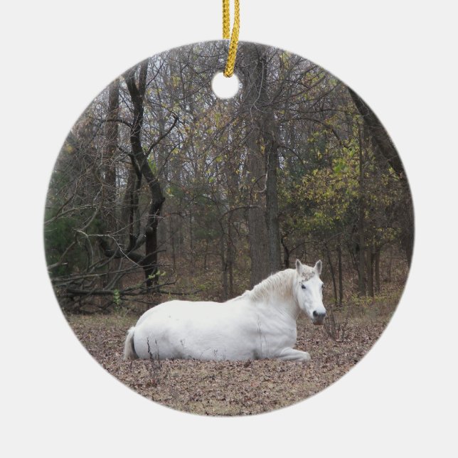 Ornement de cheval blanc (Devant)