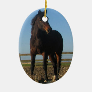 Ornement de cheval de baie