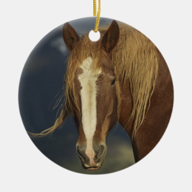 Ornement de cheval de trait (Devant)