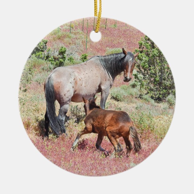 Ornement de cheval sauvage, faune, nature (Devant)