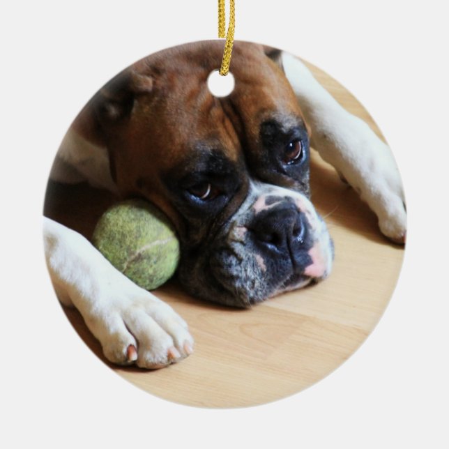Ornement de chien de boxeur (Devant)