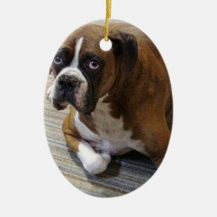 Ornement de chien de boxeur