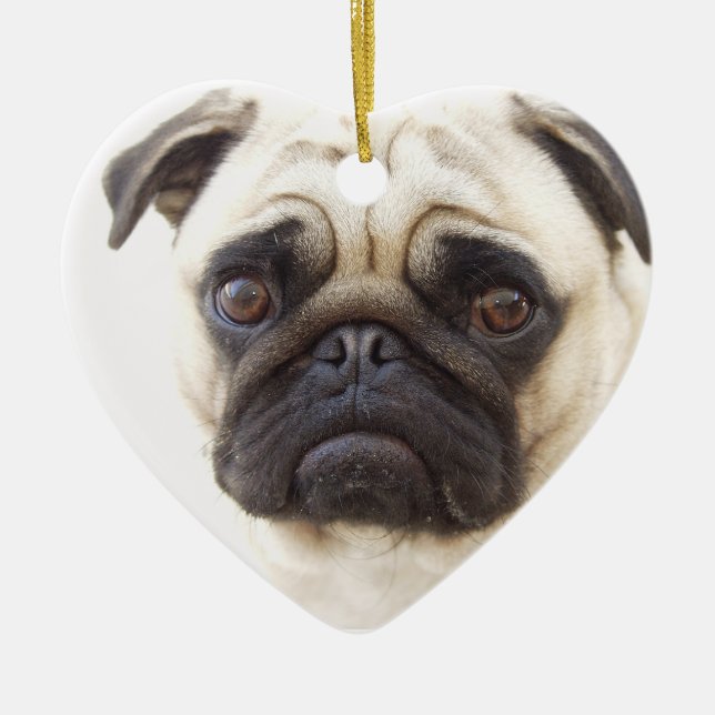 Ornement de chien de carlin (Devant)