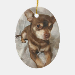 Ornement de chien de chiwawa