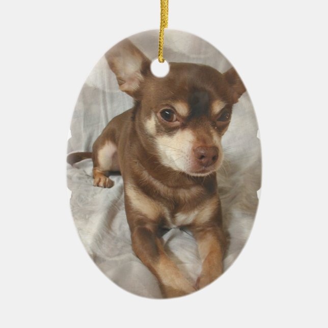 Ornement de chien de chiwawa (Devant)