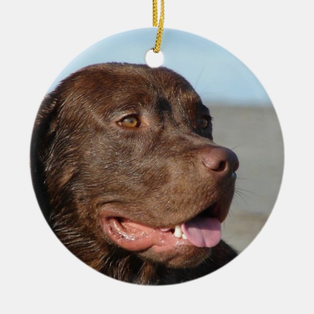 Ornement de chien de labrador retriever de (Devant)