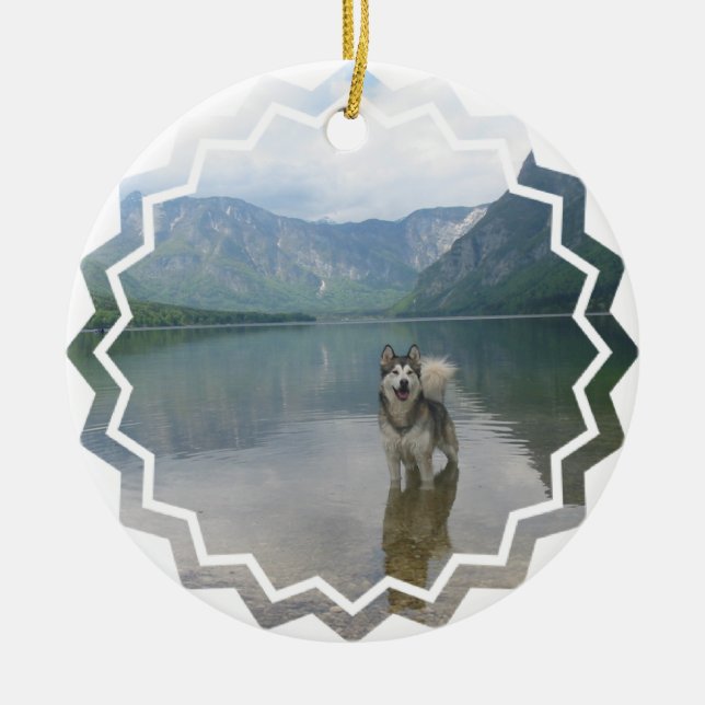 Ornement de chien de Malamute (Devant)