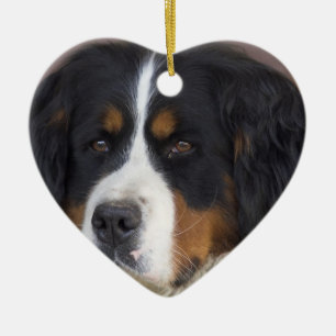 Ornement de chien de montagne de Bernese