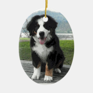 Ornement de chien de montagne de Bernese