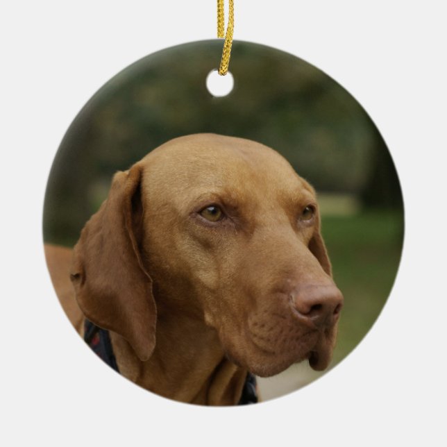Ornement de chien de Rhodesian Ridgeback (Devant)