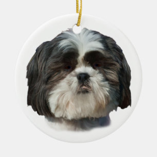 Ornement de chien de Shih Tzu