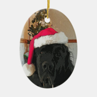 Ornement de chien de Terre-Neuve