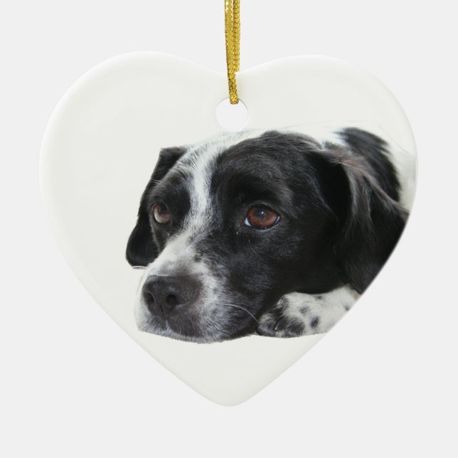 Ornement de chien d'indicateur (Devant)