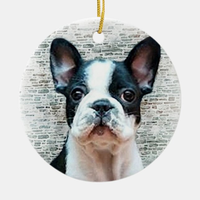 Ornement de chiot de bouledogue français (Devant)