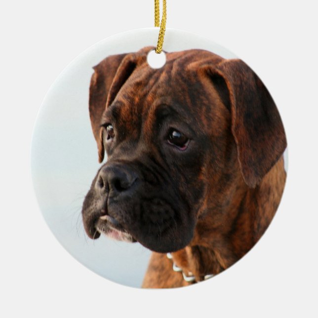 Ornement de chiot de boxeur (Devant)