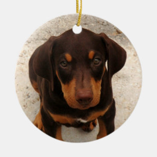 Ornement de chiot de dobermann