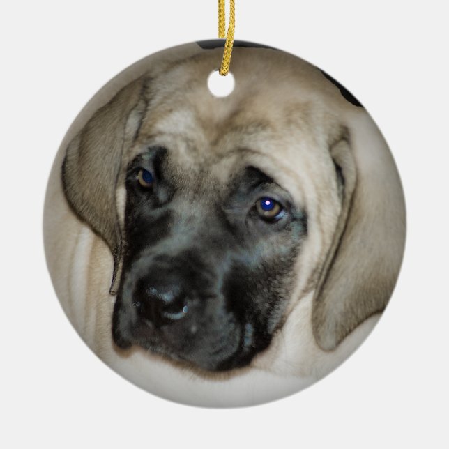 Ornement de chiot de mastiff (Devant)