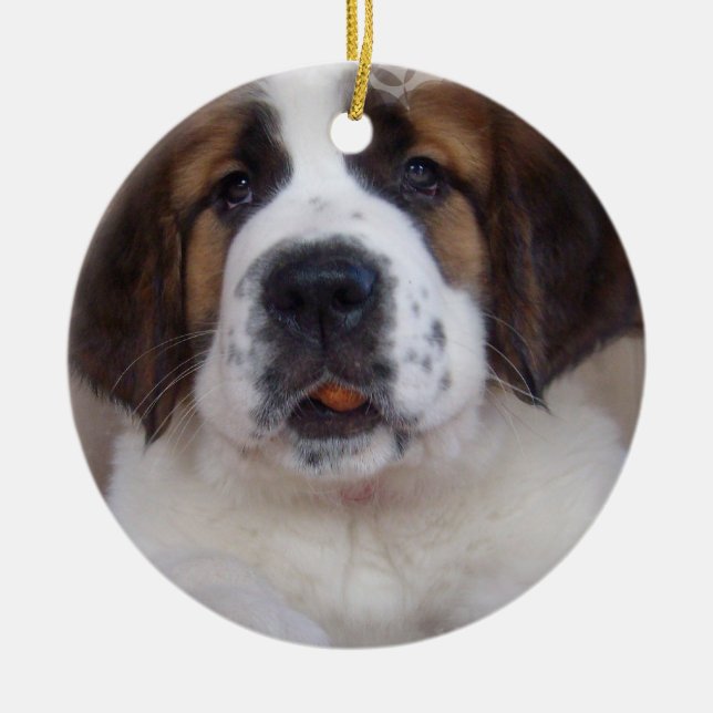 Ornement de chiot de St Bernard (Devant)