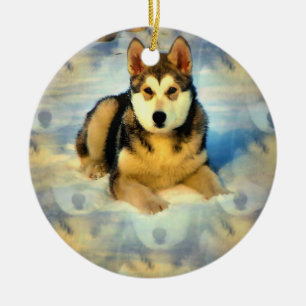 Ornement de chiots de Malamute d'Alaska