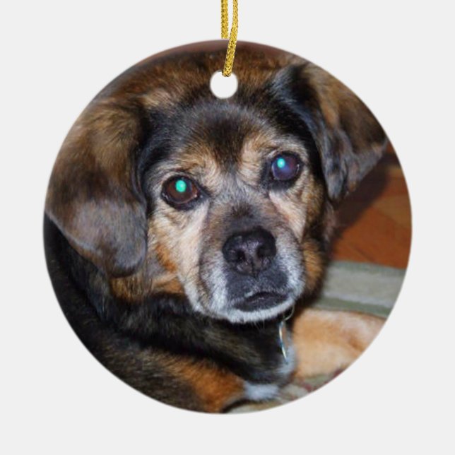 Ornement de Chrstmas de chien de Puggle (Devant)