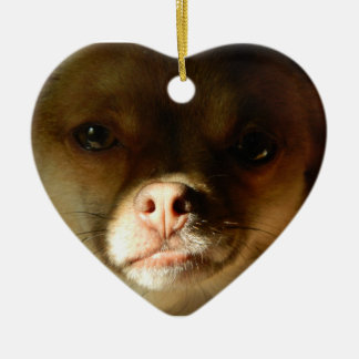 Ornement de coeur avec un mélange de Pomeranian de