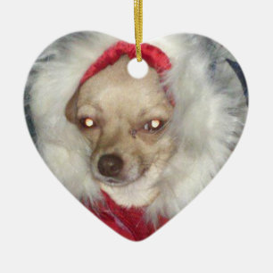 Ornement de coeur de chiwawa de Noël