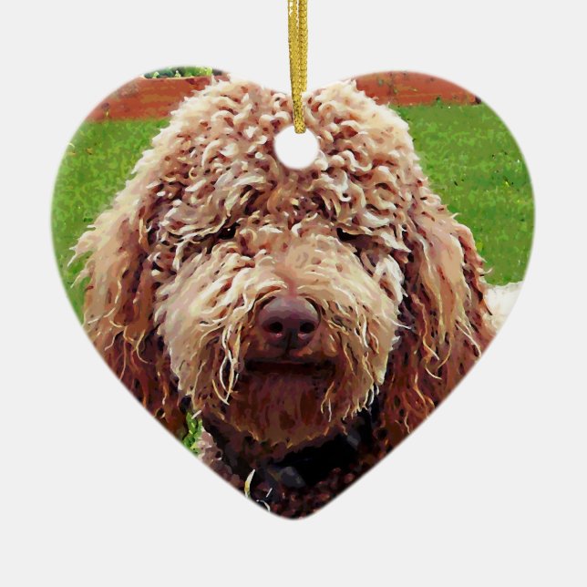 Ornement de coeur de peinture de griffonnage (Devant)