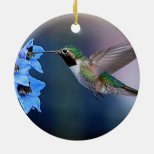 ORNEMENT DE COLIBRI